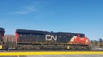 CN 3826